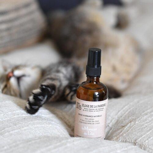 Brume d'ambiance, Eloge de la paresse