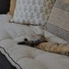 Sofa cover Faro
